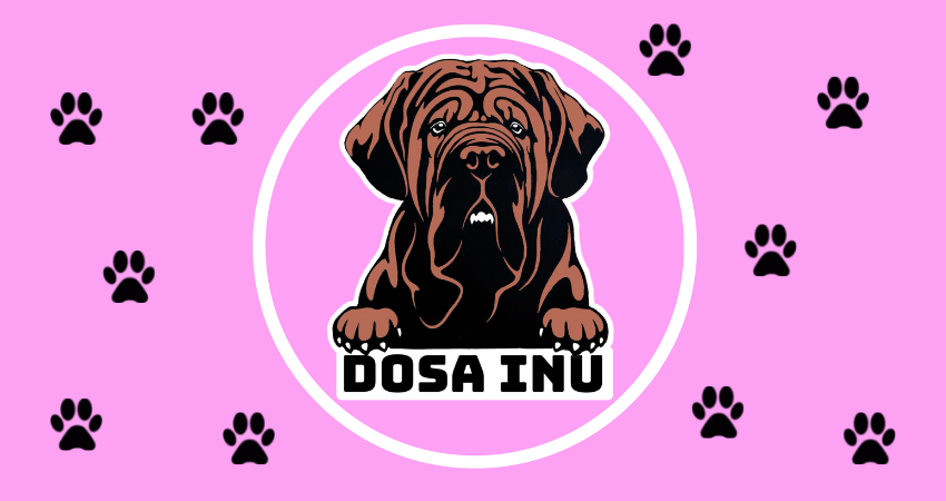 Dosa Inu Token