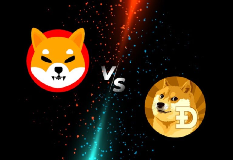 winry inu coin price
