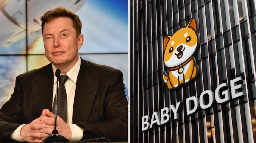 Baby Dogecoin and Elon Musk