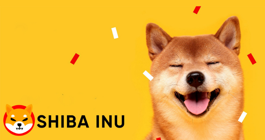 Shiba Inu