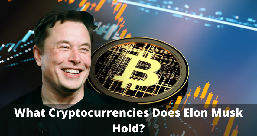Do You Know What Cryptocurrencies Does Elon Musk Hold?