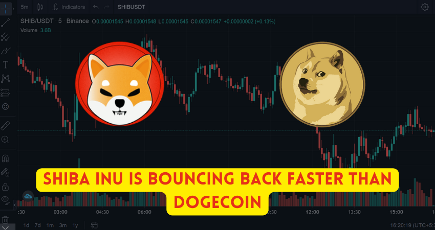 After Crypto Crash Shiba Inu Is Bouncing Back Faster Than Dogecoin