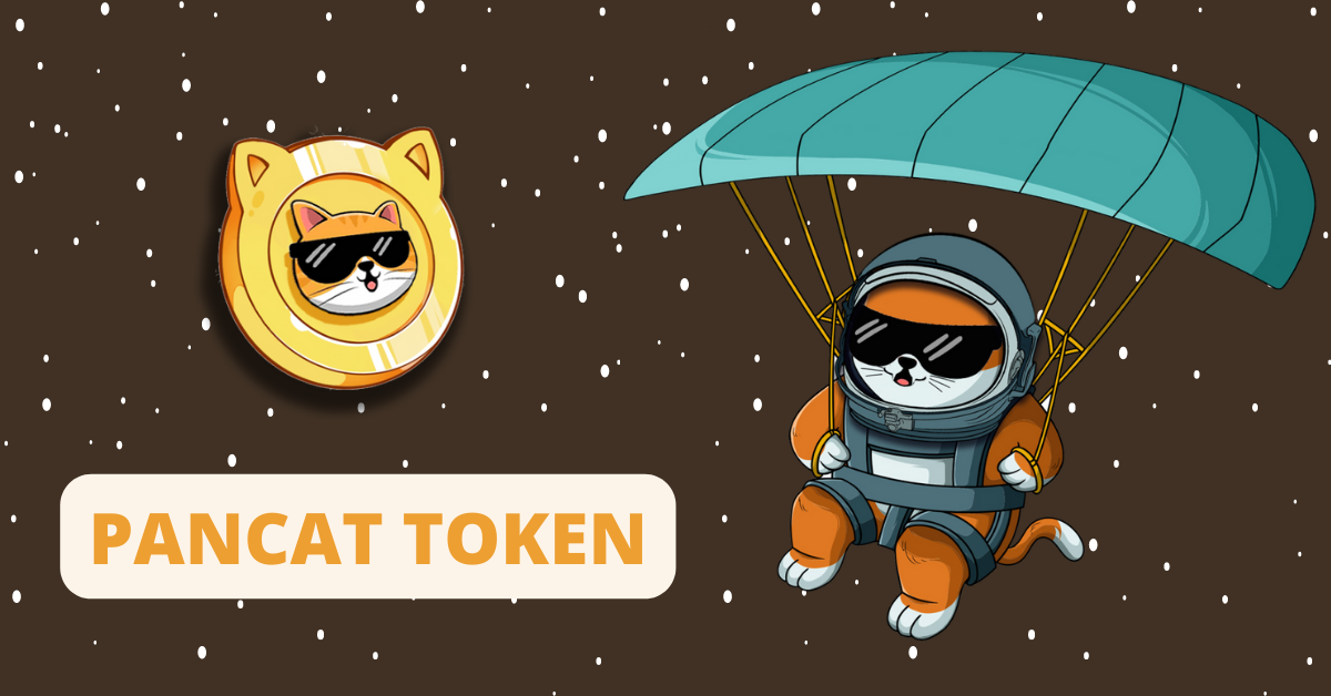 What Is PANCAT Coin? Check The Price Marketcap, Total Supply