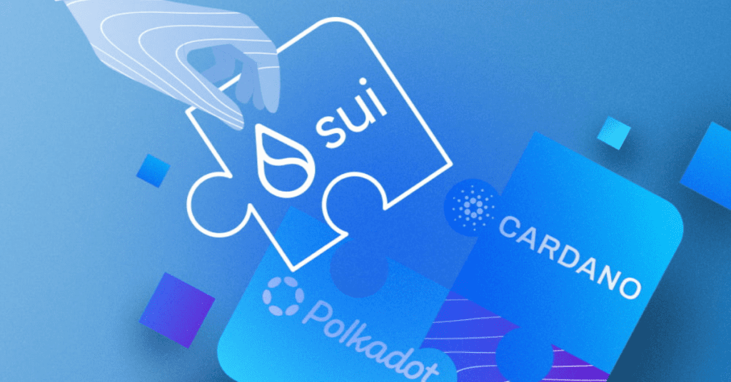Unveiling SUI Network